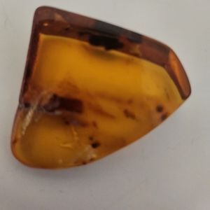 Honey color Baltic Amber